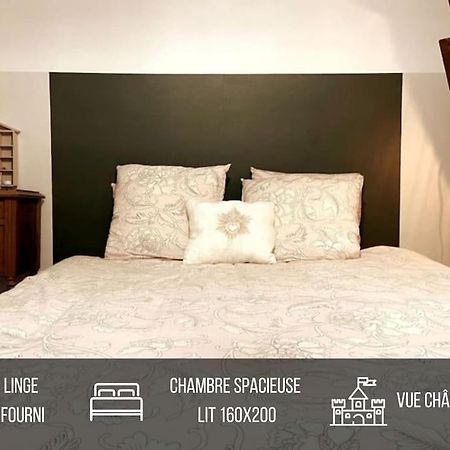 Grand Appartement Place Saint-Pierre, Proche Chateau De Saumur Et Bord De Loire" Dış mekan fotoğraf